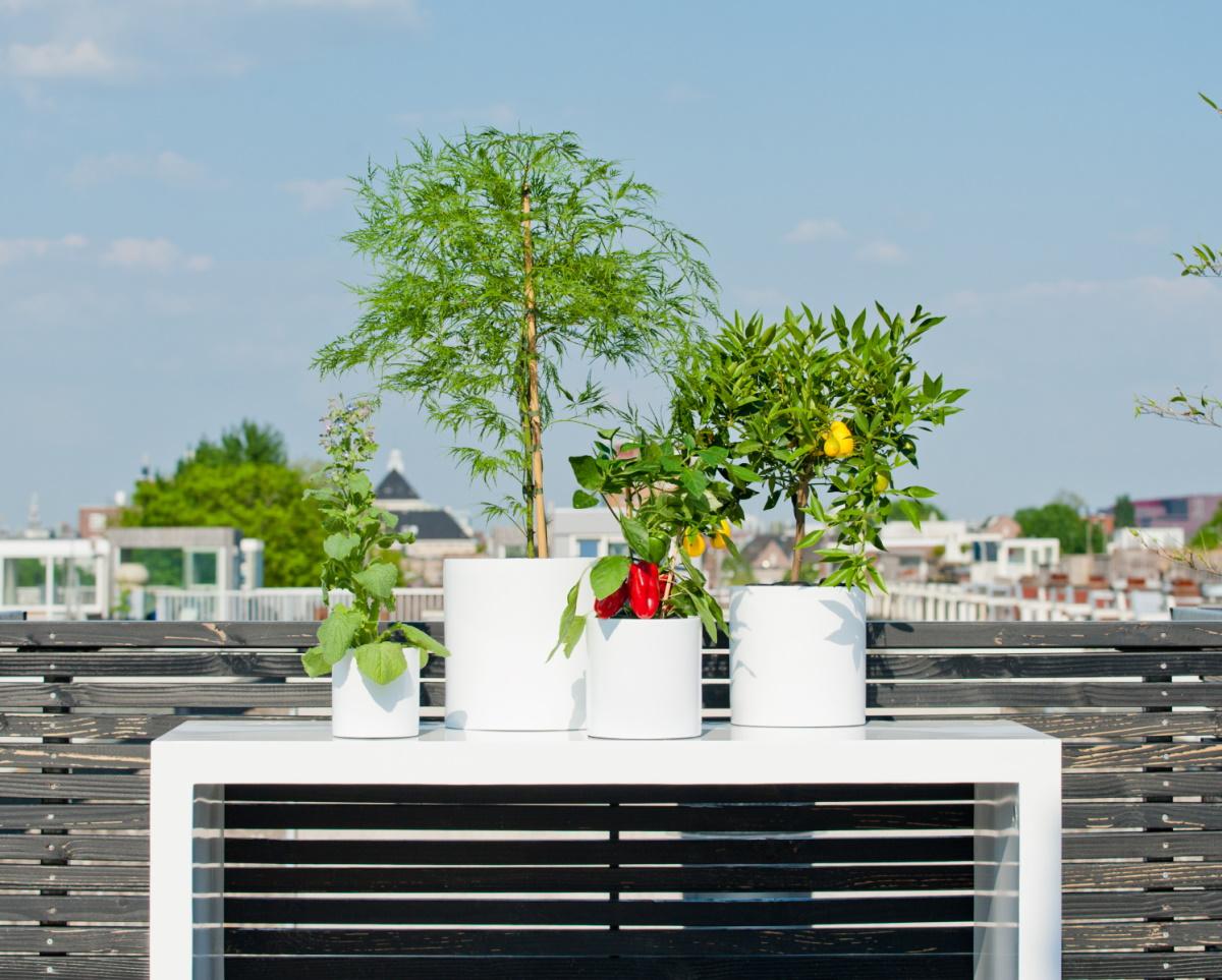 Fiberstone Glossy Puk Light Planter by Idealist Premium