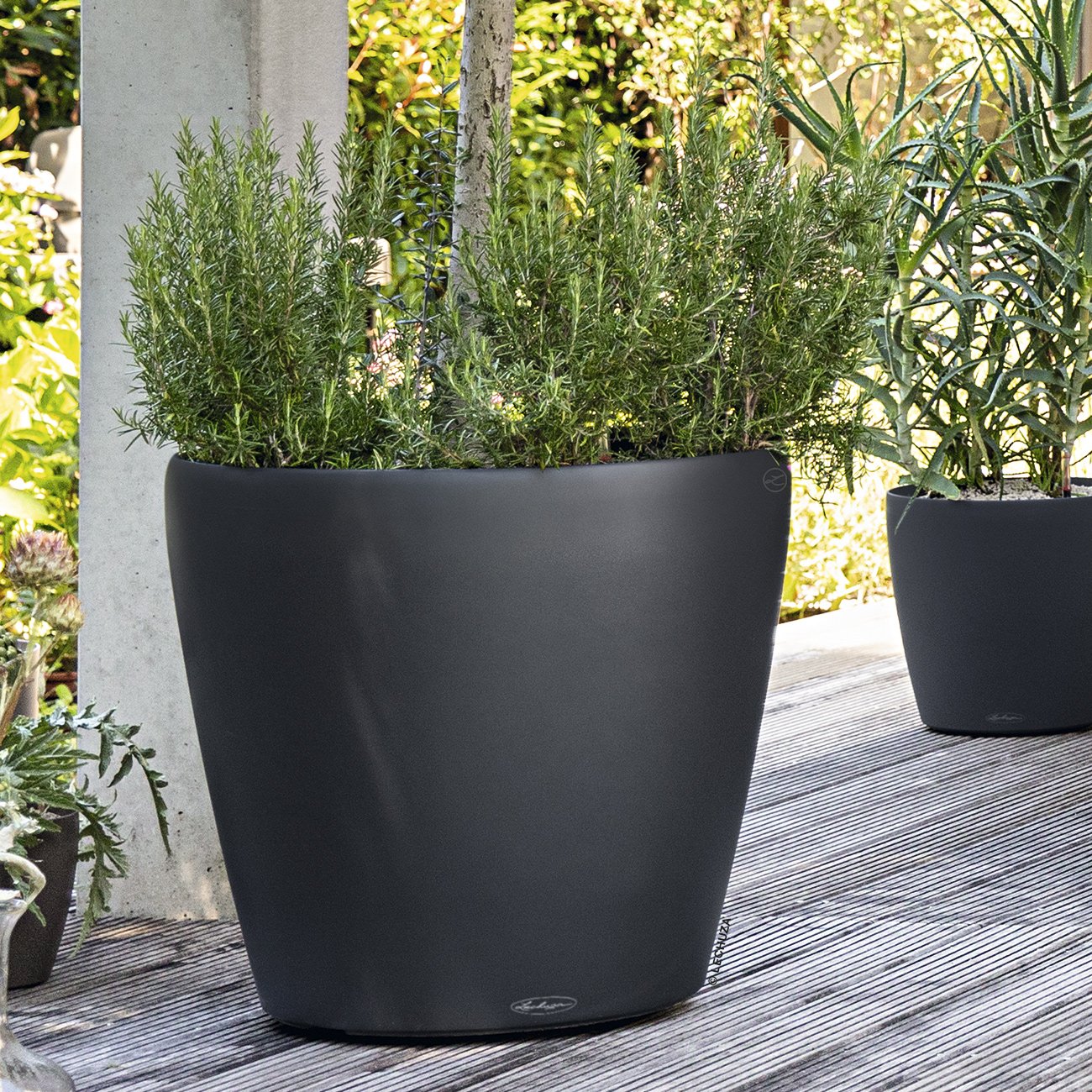 LECHUZA CLASSICO Color Round Poly Resin Self-watering Planter