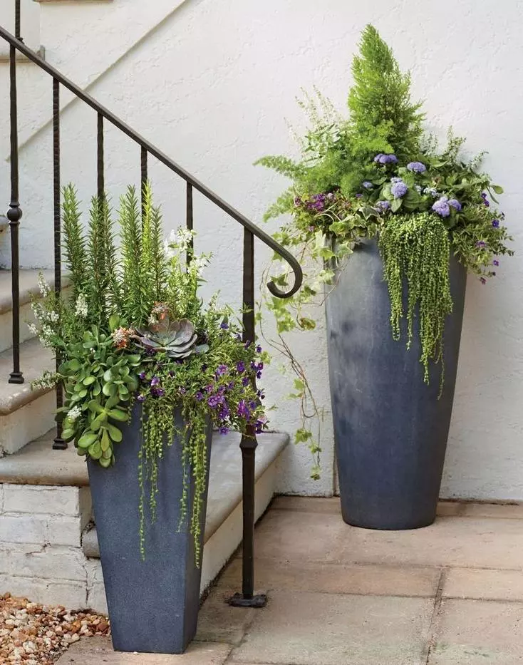 Ceramic Round Tall Matte Planter Pot In/Out