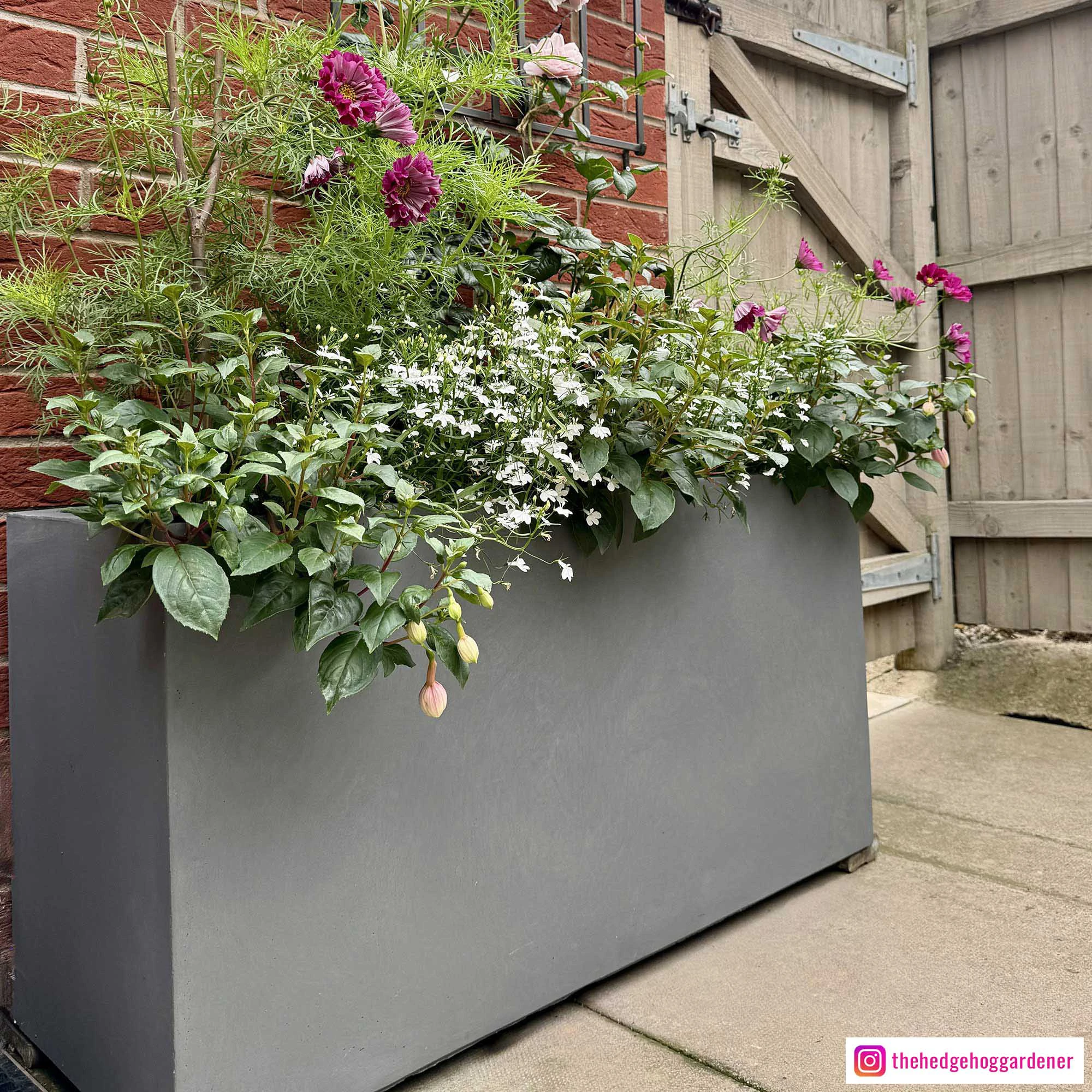 IDEALIST Lite Contemporary Light Concrete High Trough Planter