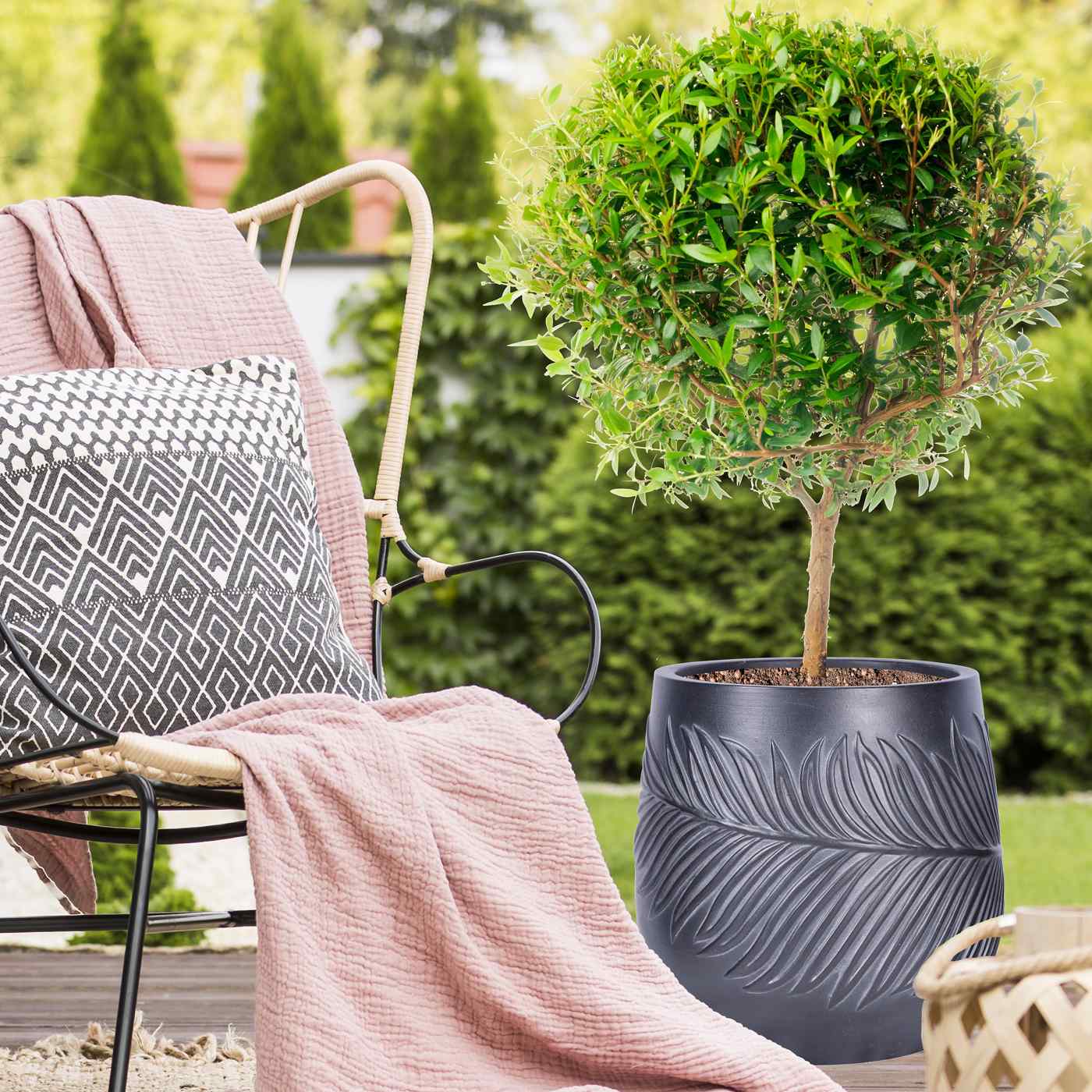IDEALIST Lite Leaf Embossed Egg Planter