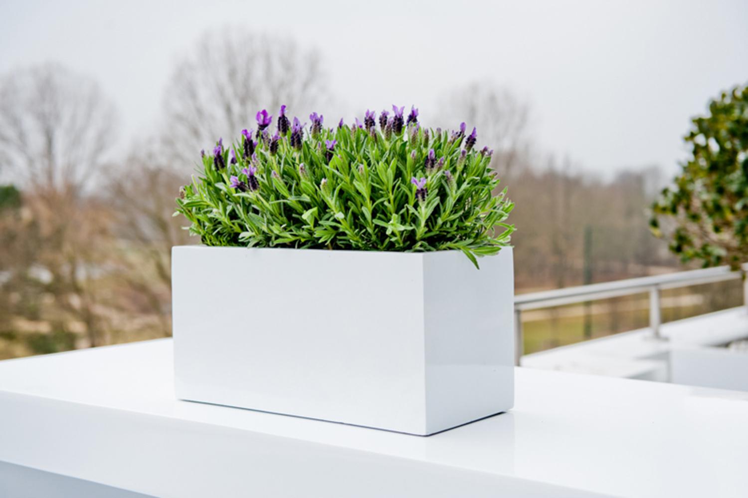 WINDOW BOX Fiberstone Planter by Idealist Premium Balcony Glossy