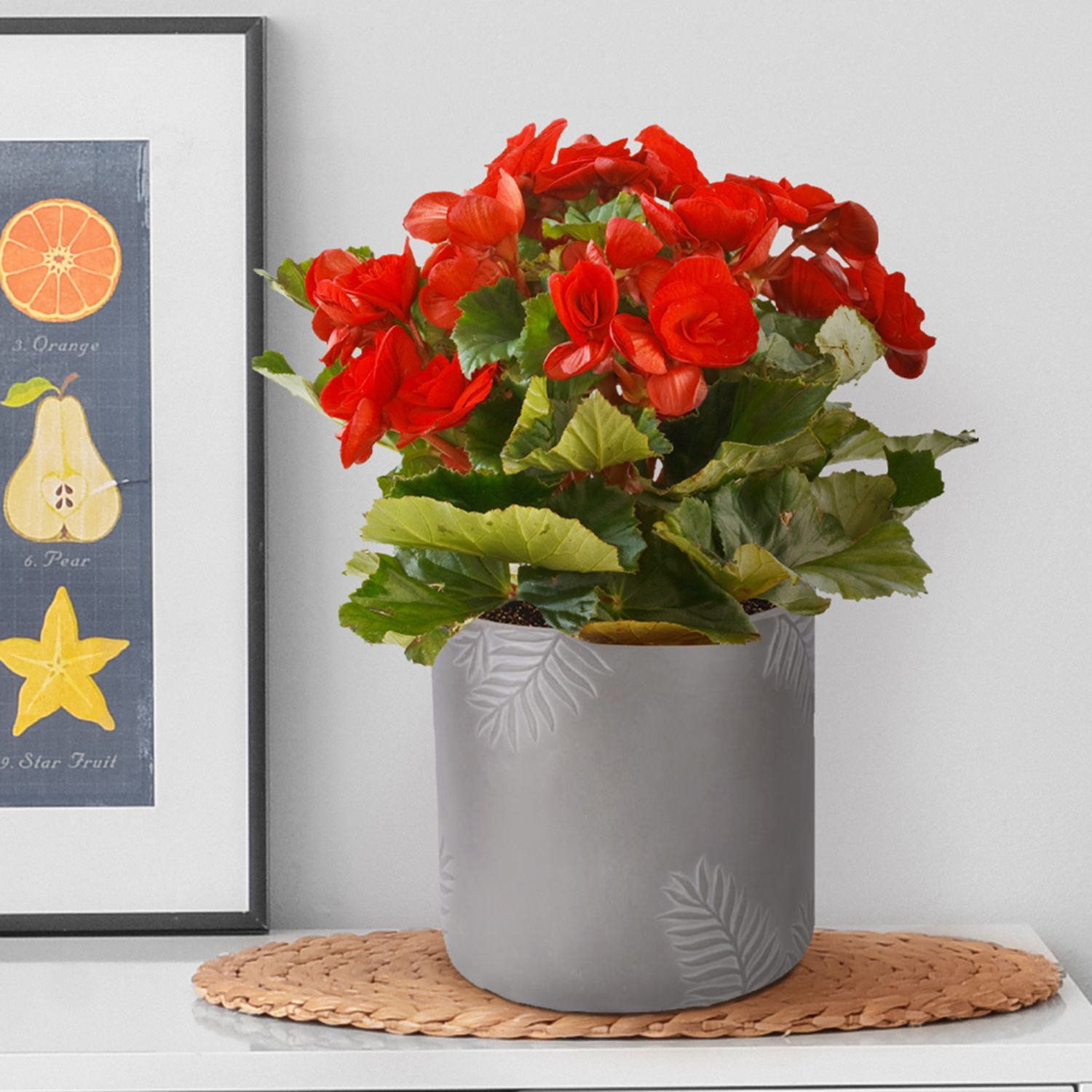 IDEALIST Lite Leaf Embossed Table Indoor Cylinder Round Plant Pot