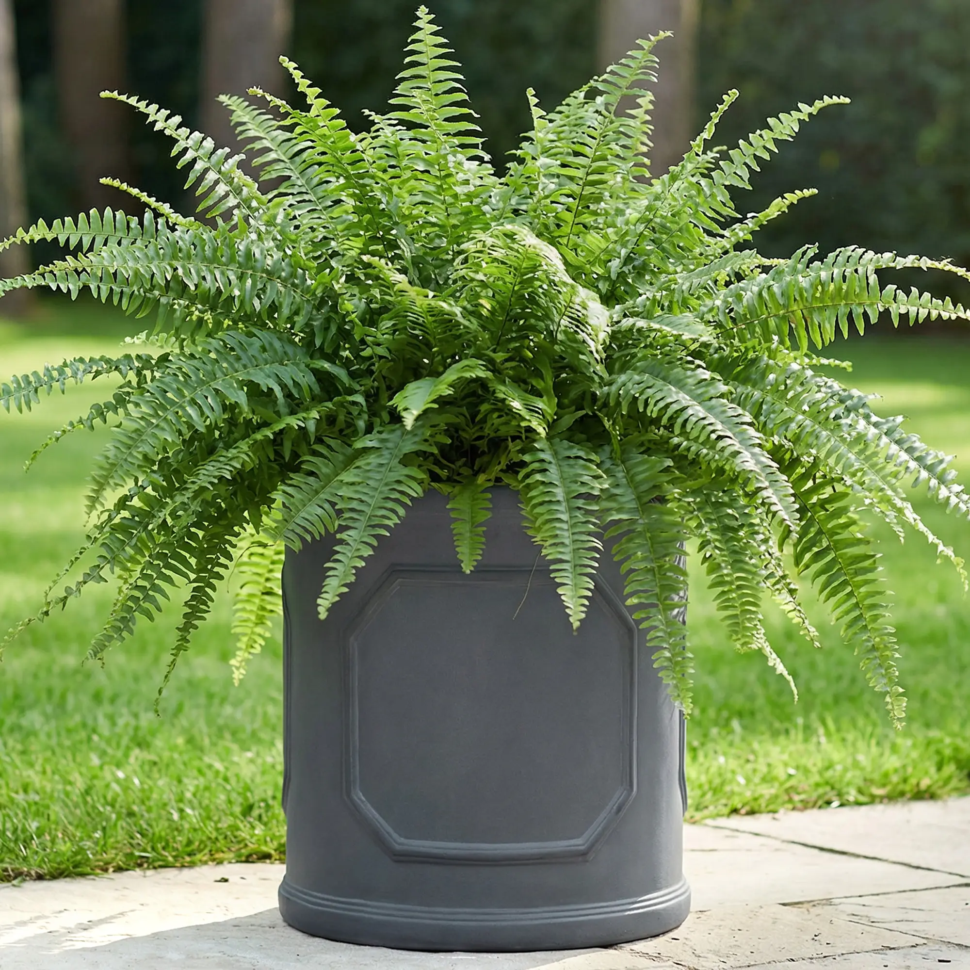 IDEALIST Chelsea Light Concrete Cylinder Garden Planter
