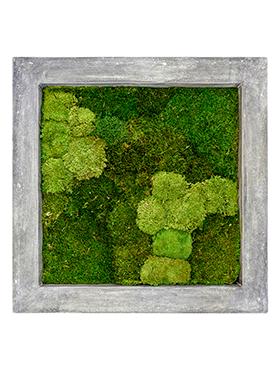 Moss Painting Raw Square