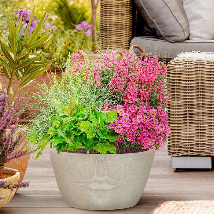 What houseplants grow well together in one pot?