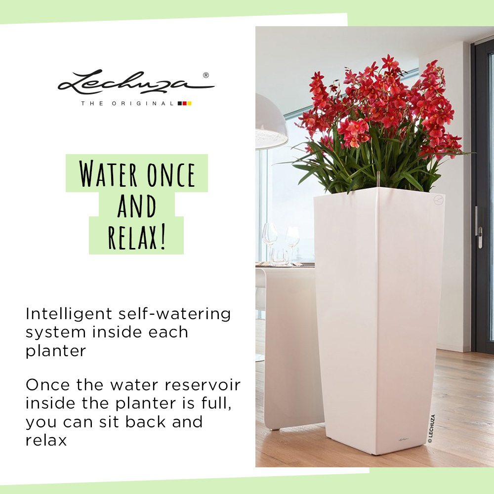 LECHUZA CUBICO Square Tall Poly Resin Self-watering Planter