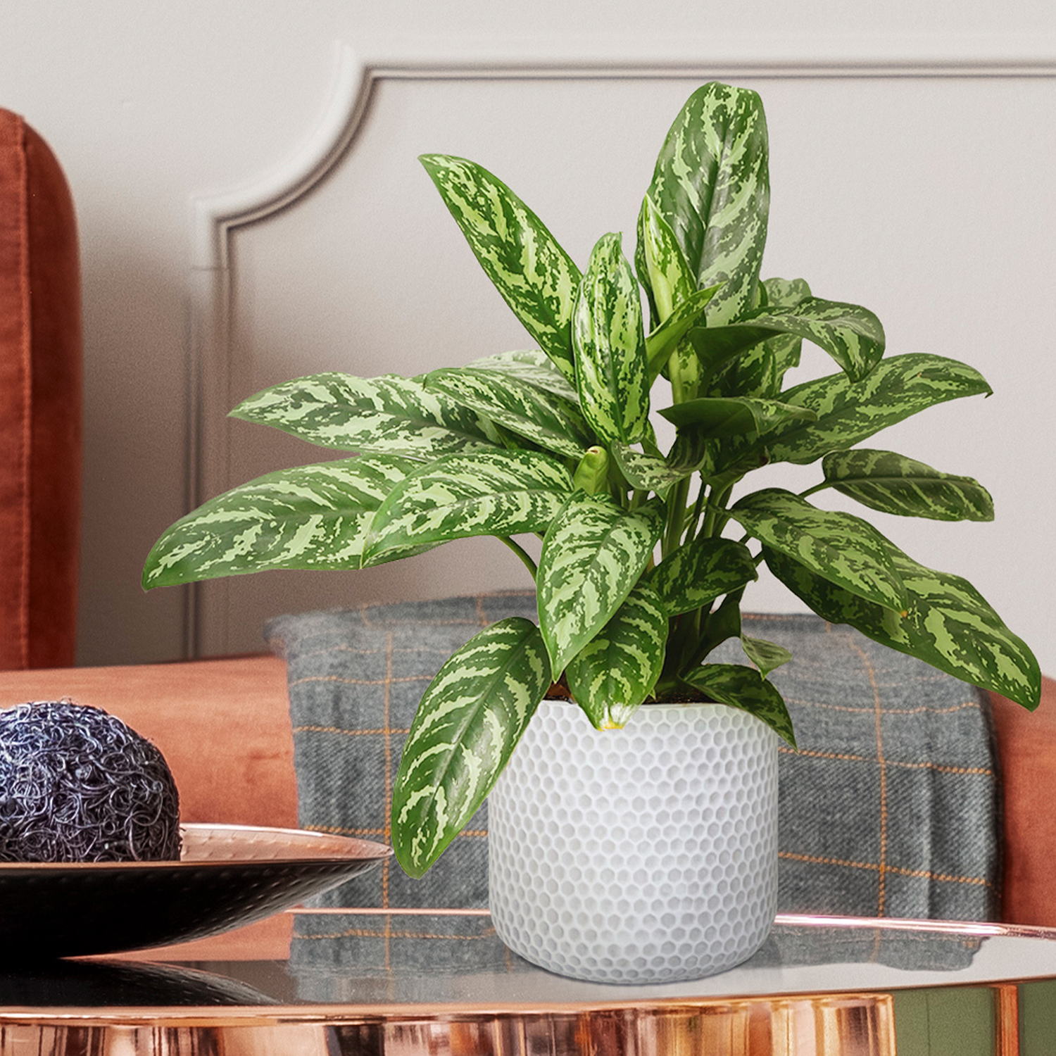 IDEALIST Lite Honeycomb Style Table and Hanging Cylinder Round Plant Pot Dual Use Indoor Planter