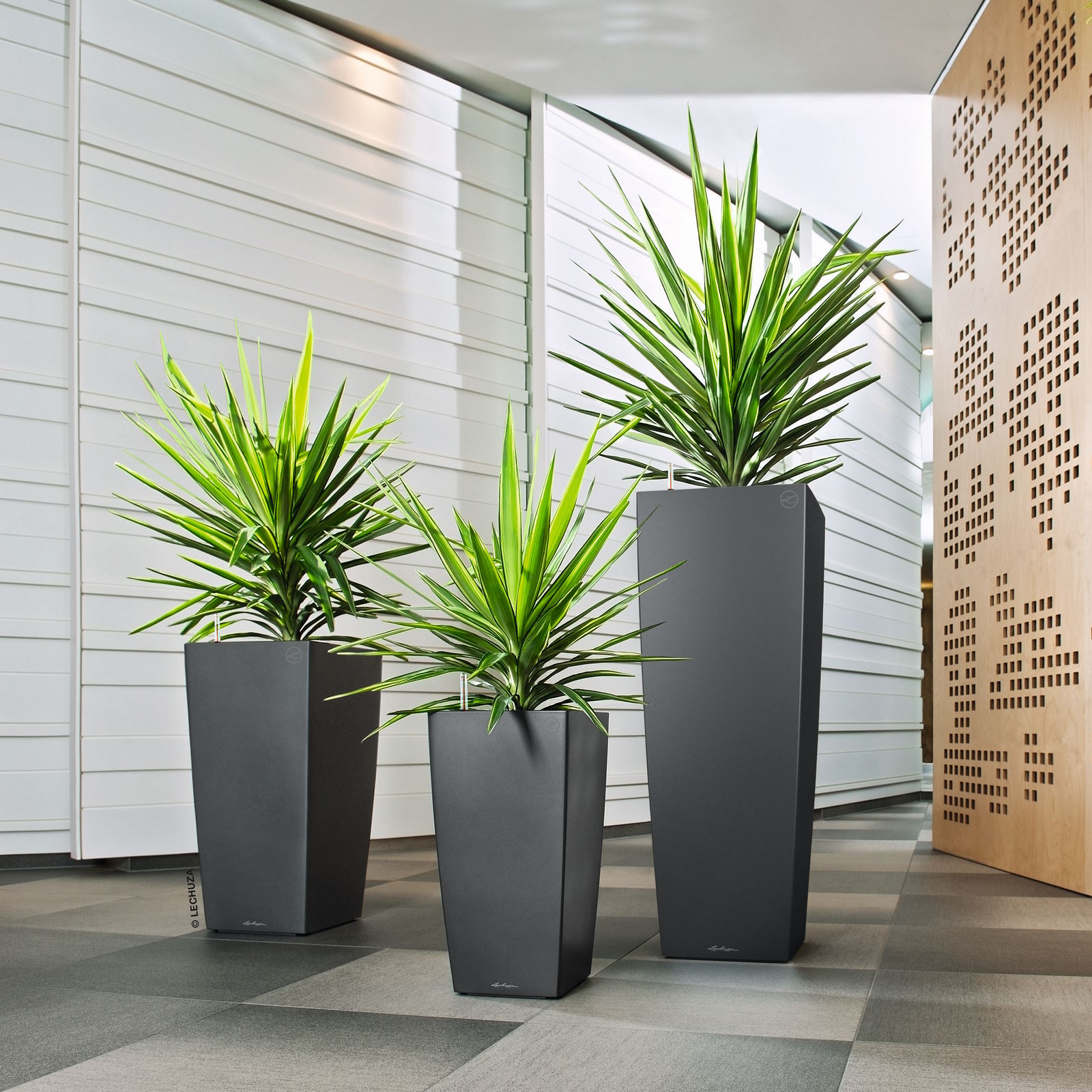 LECHUZA CUBICO ALTO Square Tall Poly Resin Self-watering Planter