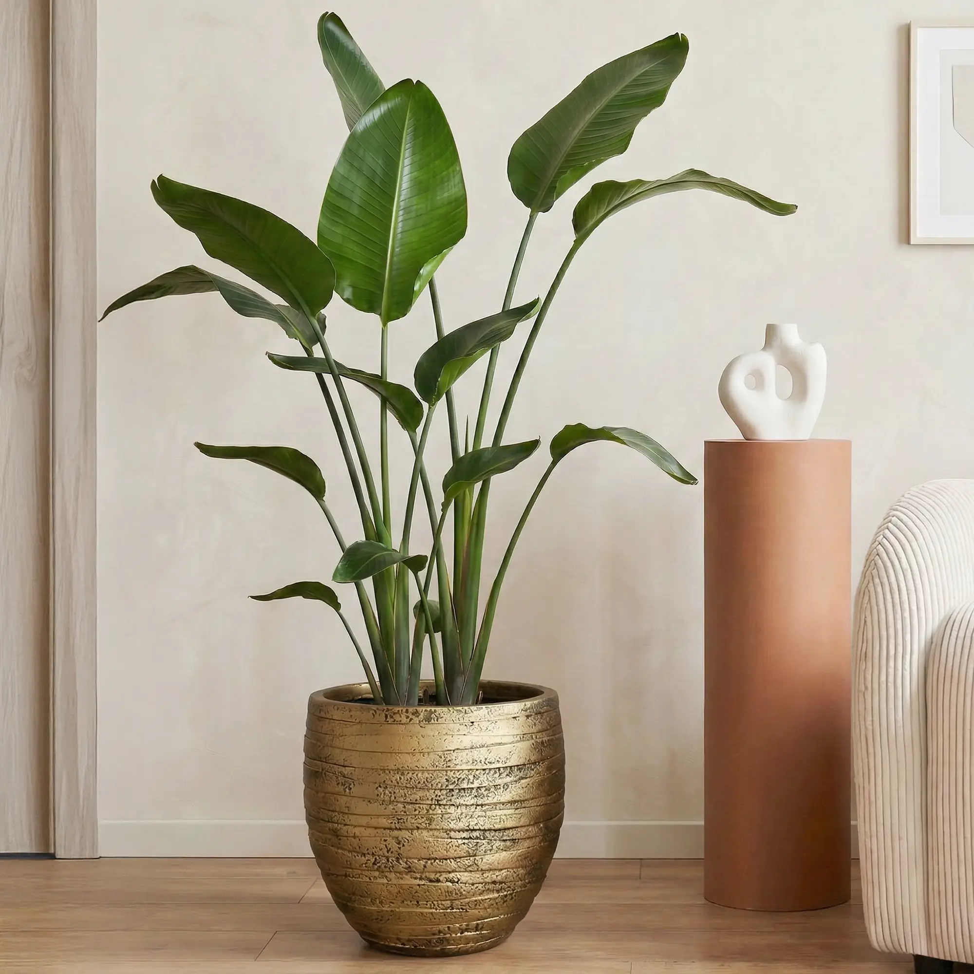IDEALIST Lite Row Style Round Indoor Planter