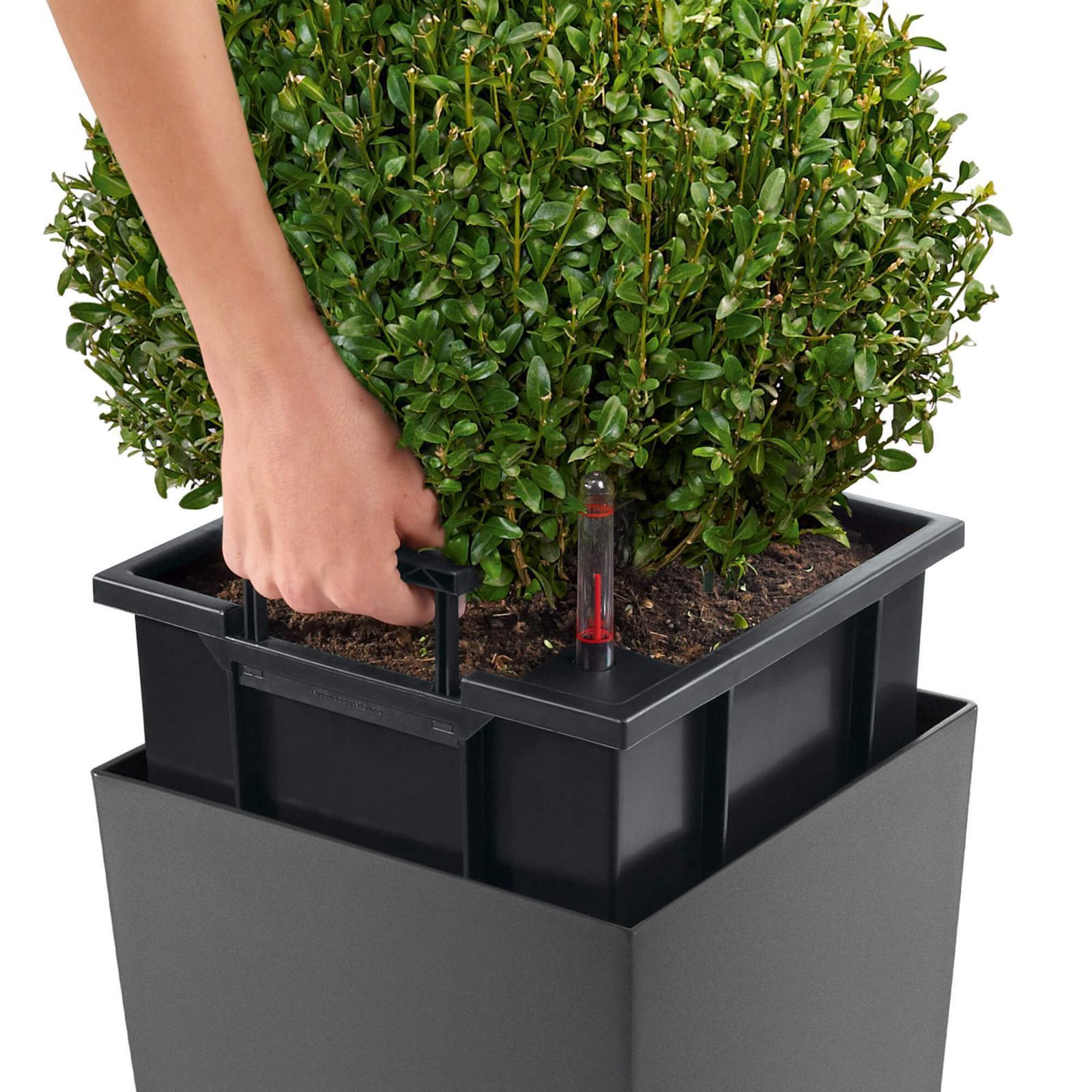 LECHUZA CUBICO Color Square Tall Poly Resin Self-watering Planter Set