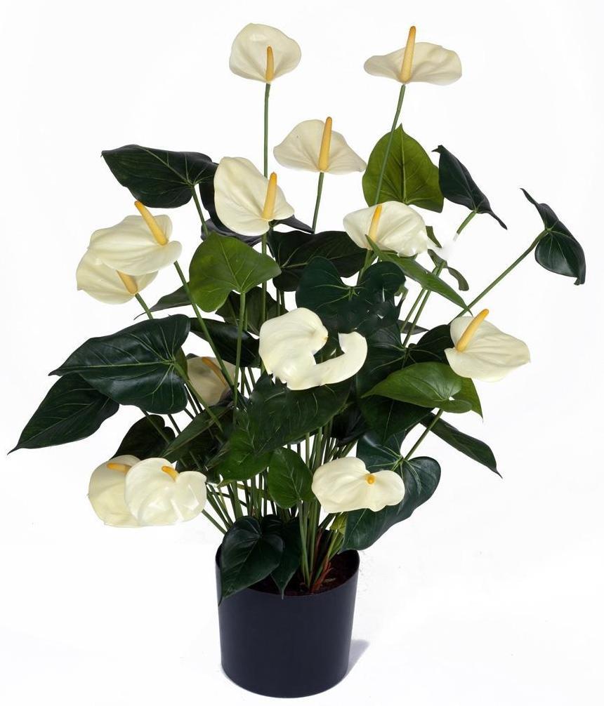 Anthurium Cream Artificial Flower Plant