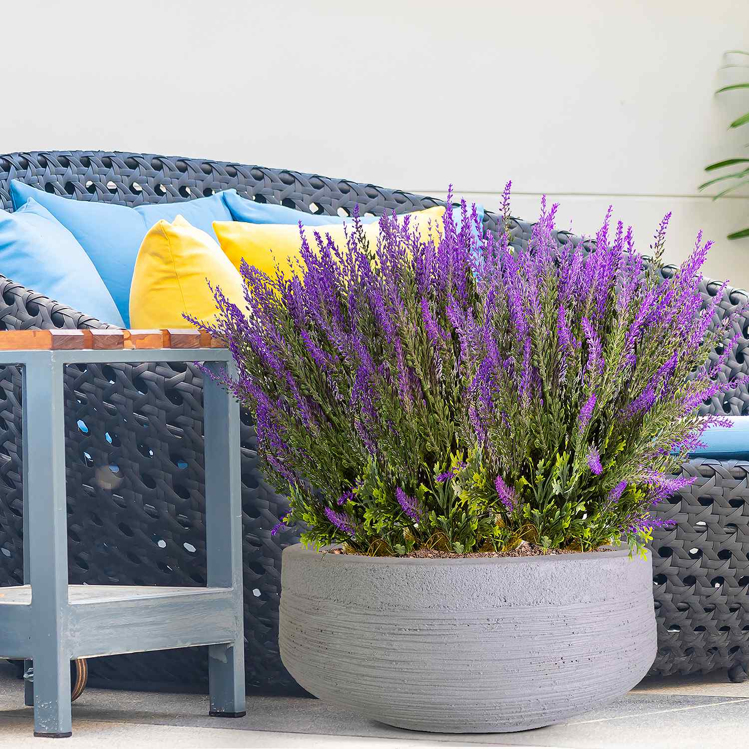 IDEALIST Lite Ribbed Light Concrete Bowl Planter