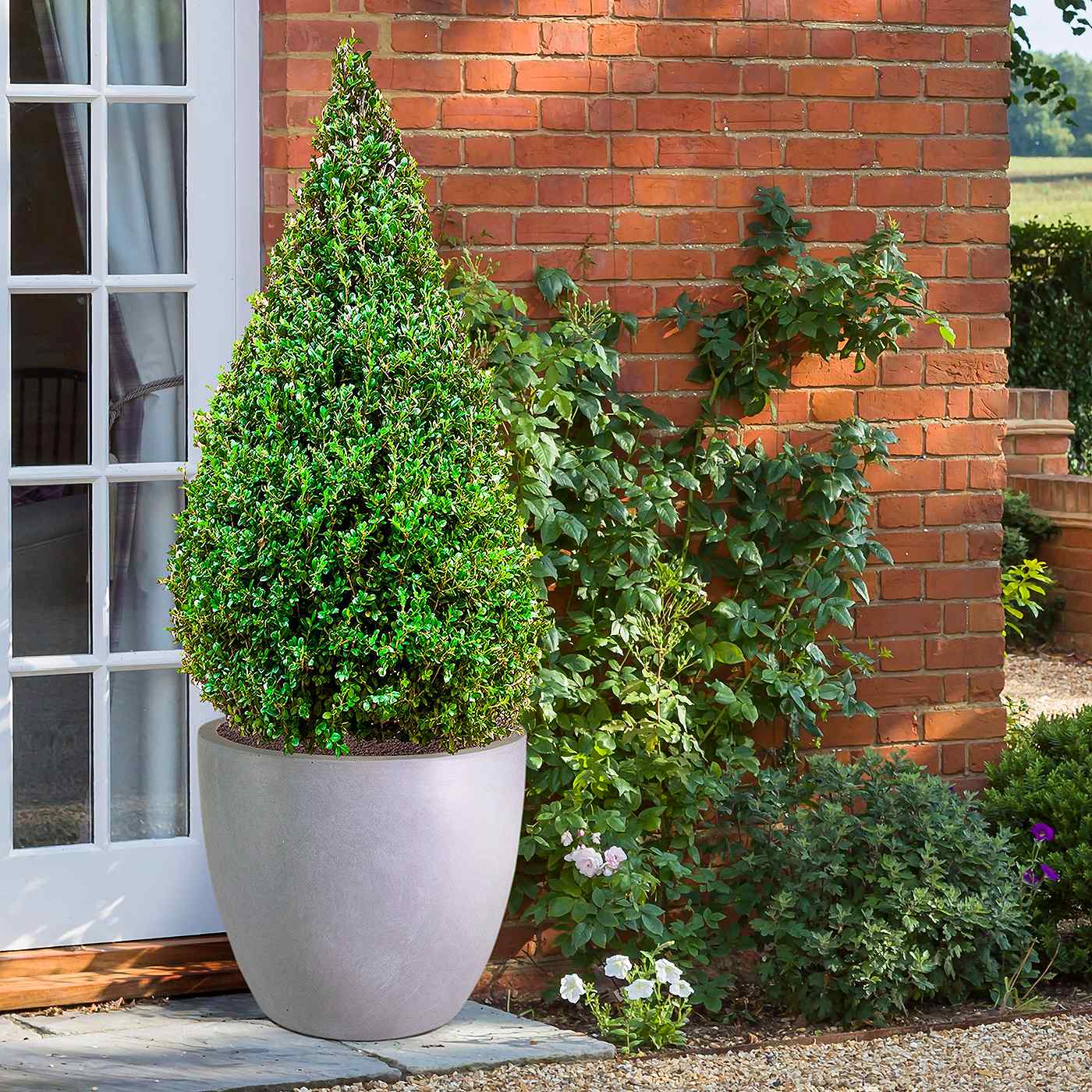 IDEALIST Lite Contemporary Light Concrete Egg Planter