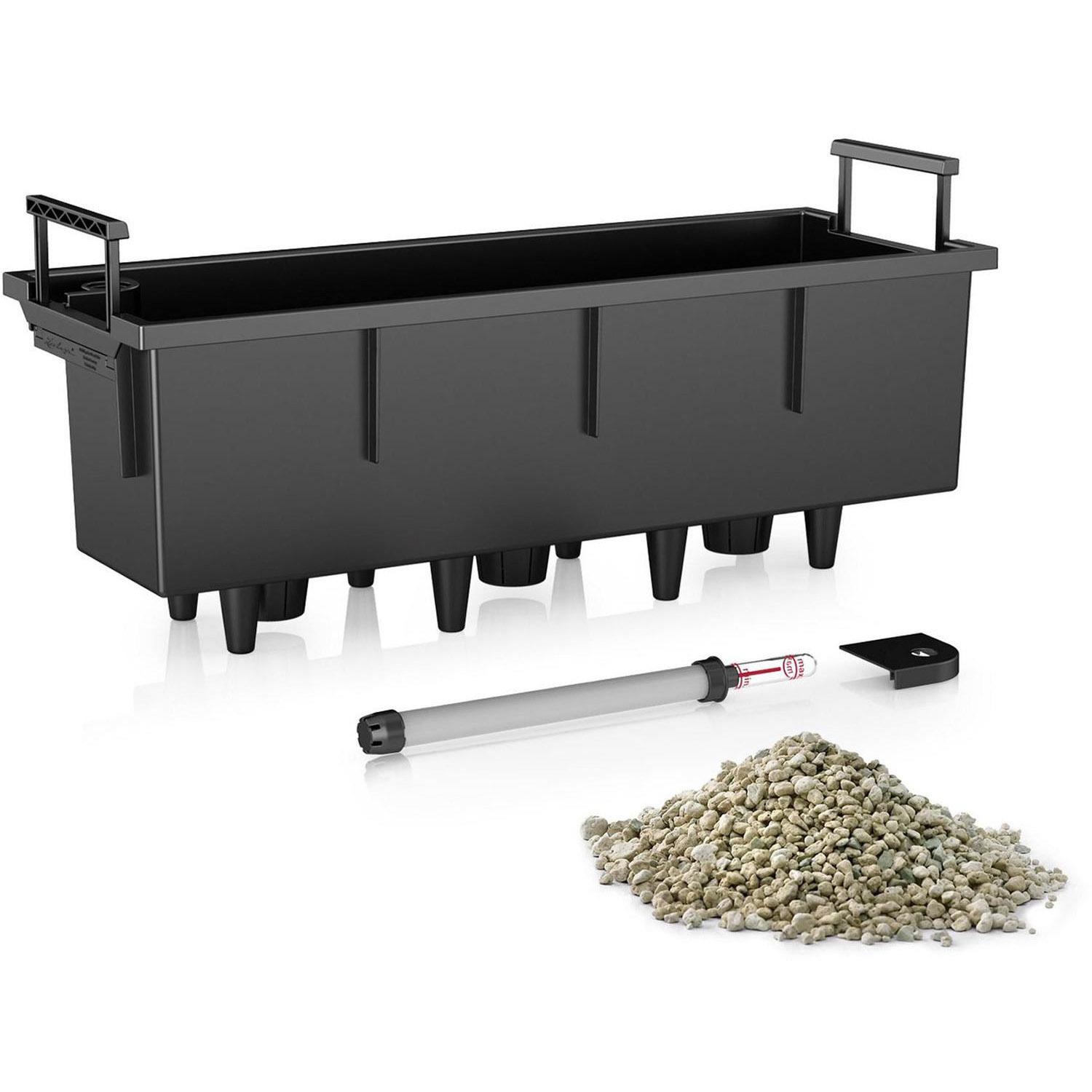 Plant insert