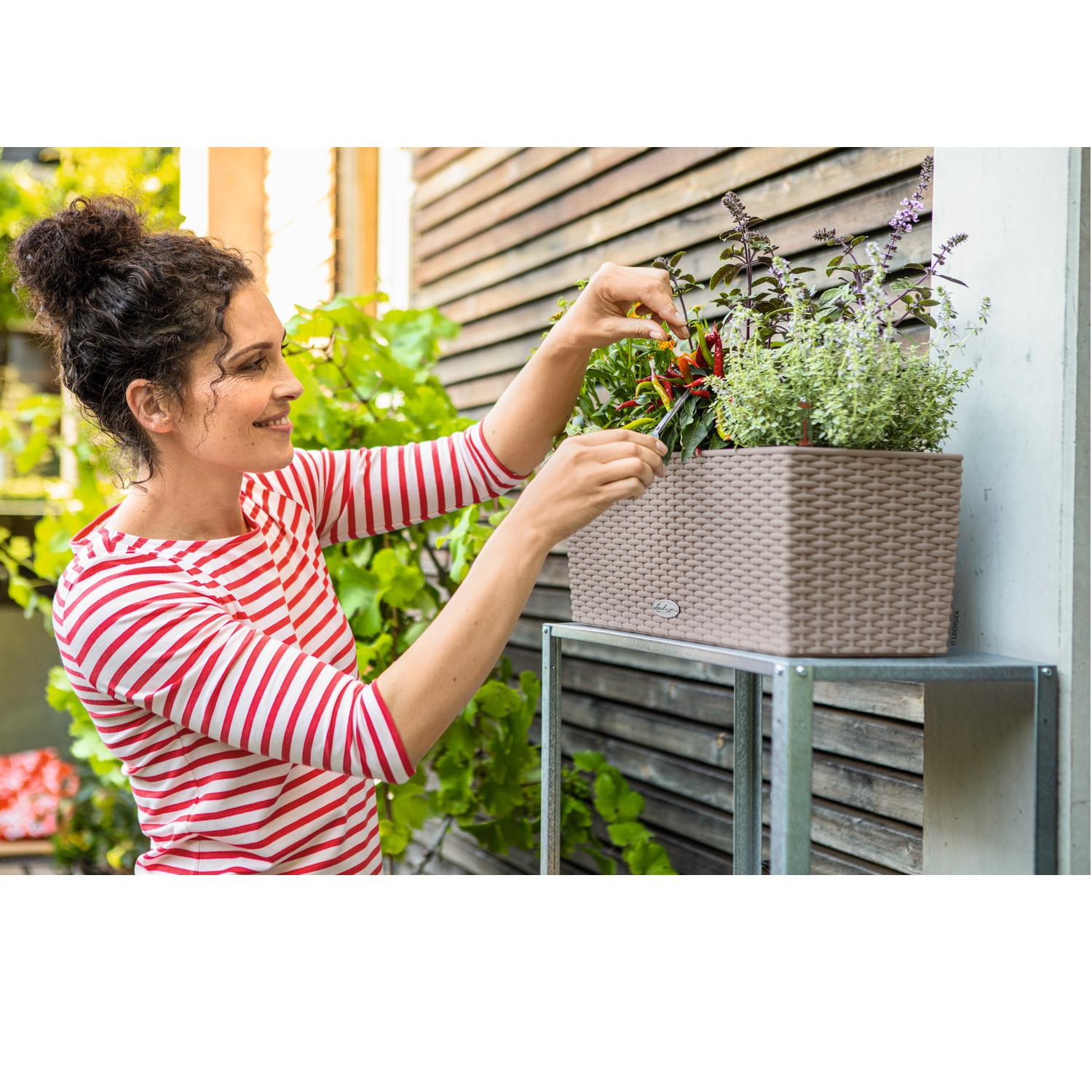 LECHUZA BALCONERA Cottage Trough Poly Resin Self-watering Planter