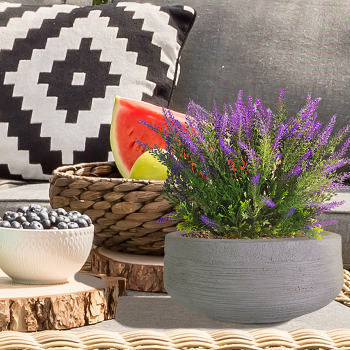 Tips for choosing plants Tips for choosing plants