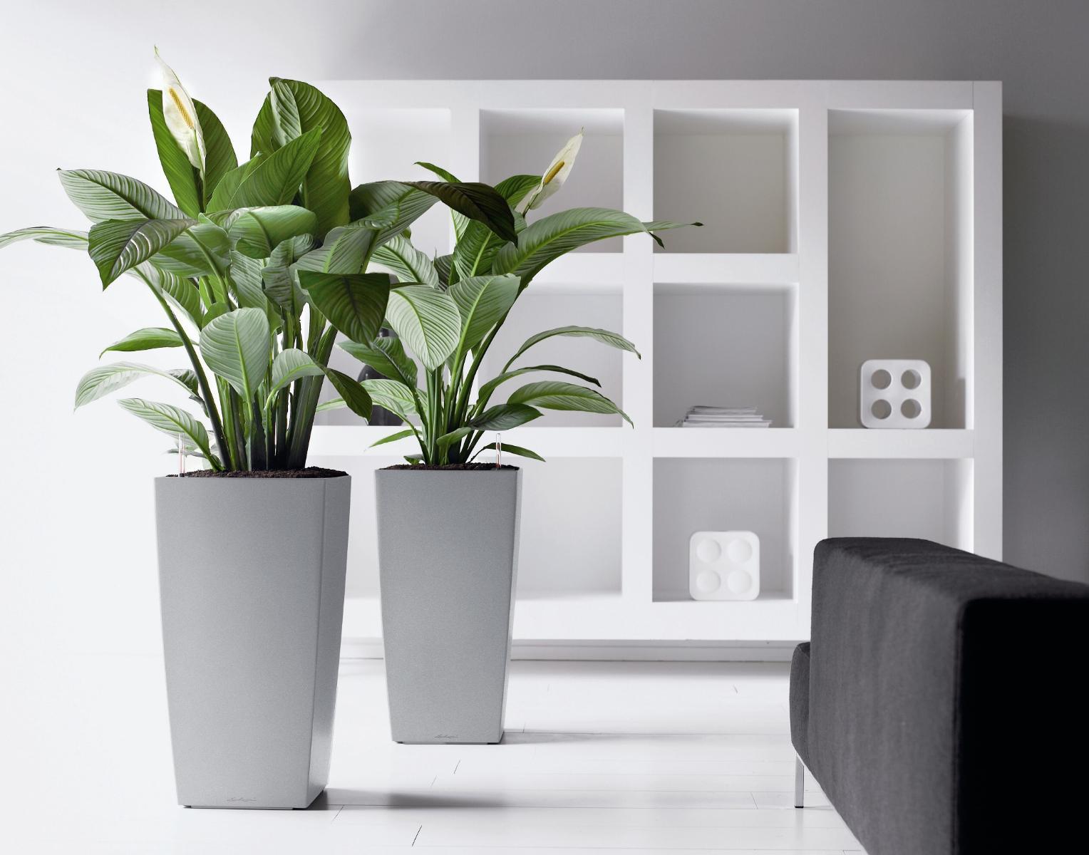 LECHUZA CUBICO Square Tall Poly Resin Self-watering Planter