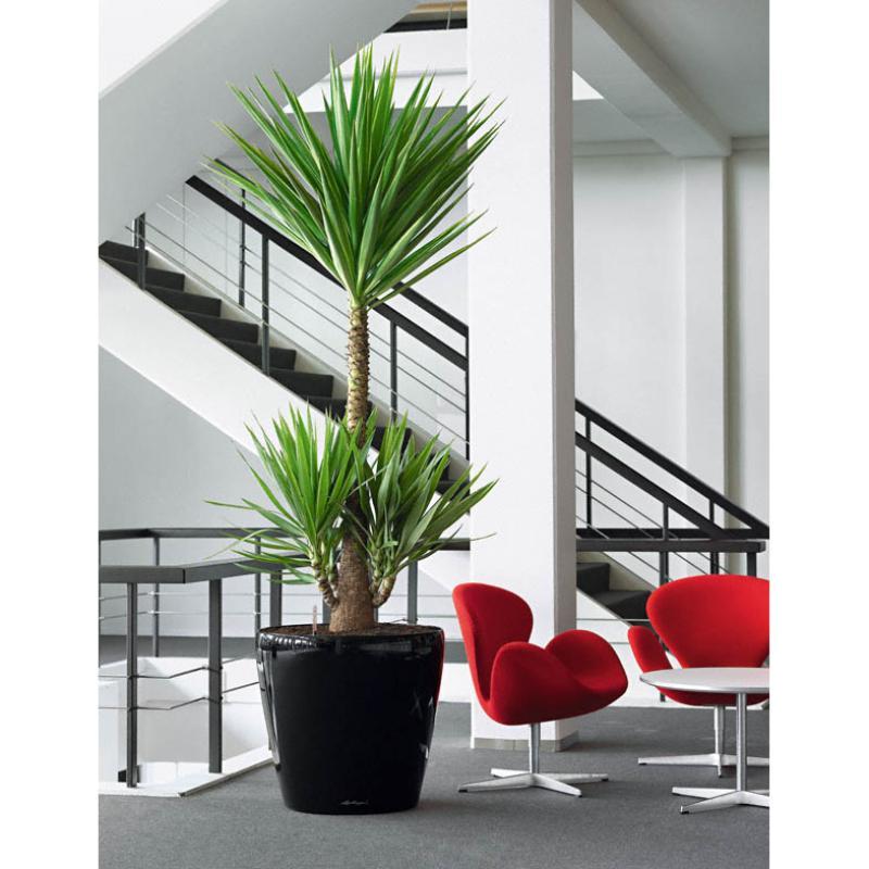 LECHUZA CLASSICO LS Round Poly Resin Self-watering Planter