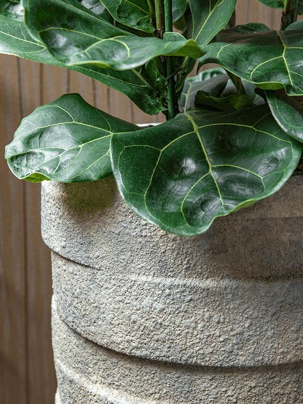 Luxe Lite Stone Varuna Tall Indoor Planter