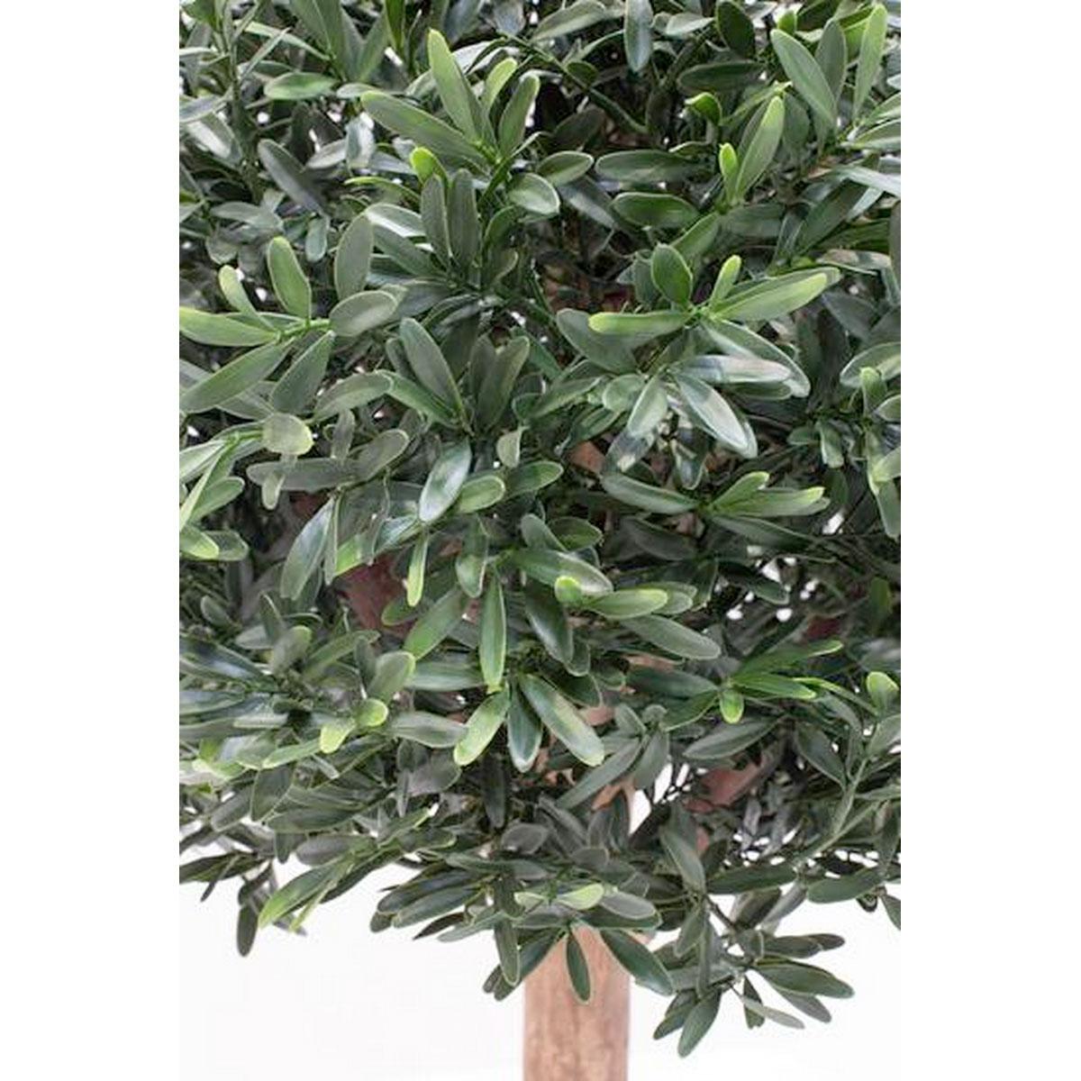 ILEX BALL Artificial Tree Plant