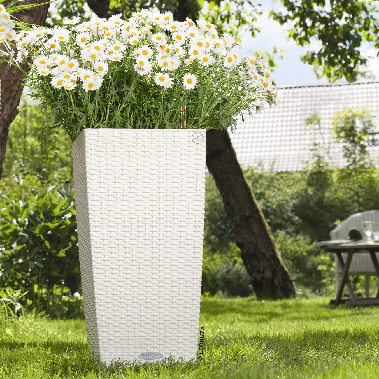 LECHUZA CUBICO Cottage Square Tall Poly Resin Self-watering Planter