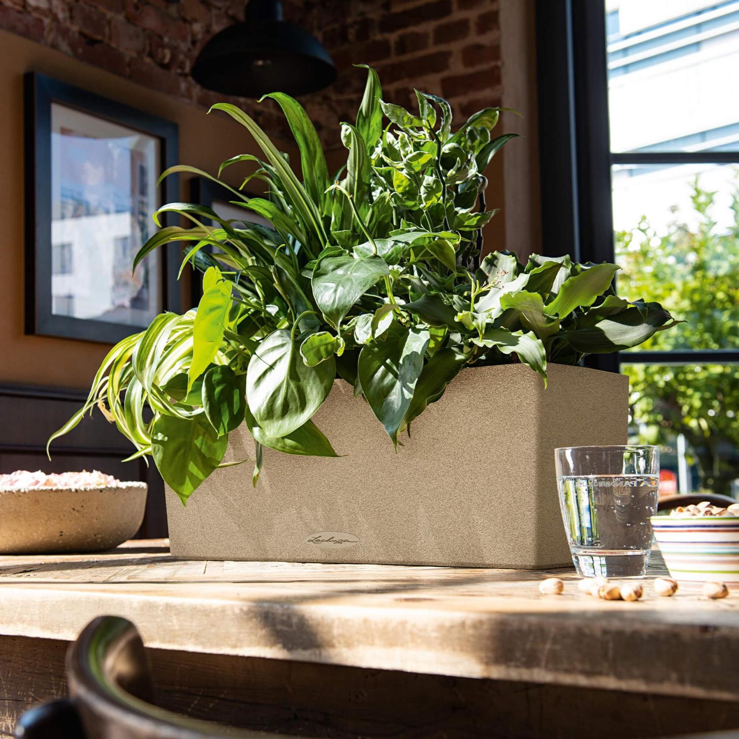 LECHUZA BALCONERA Stone Trough Poly Resin Self-watering Planter