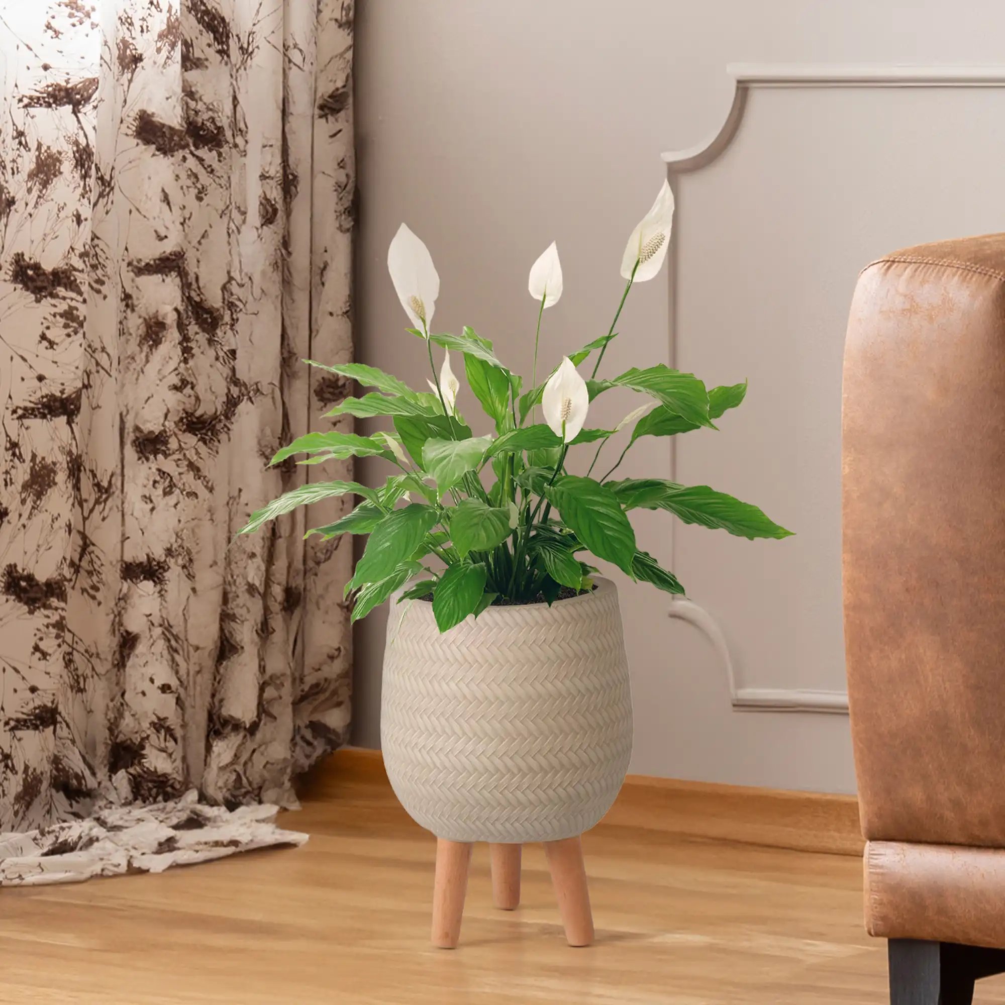 IDEALIST Lite Plaited Style Egg Planter on Legs, Round Pot Plant Stand Indoor