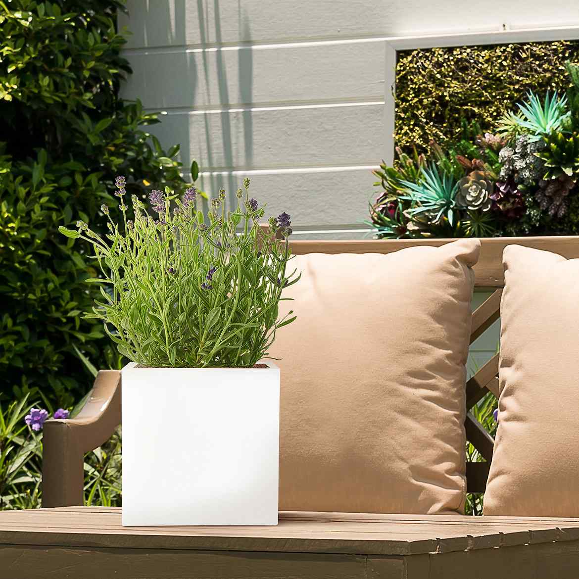 IDEALIST Lite Square Box Contemporary Light Concrete Planter