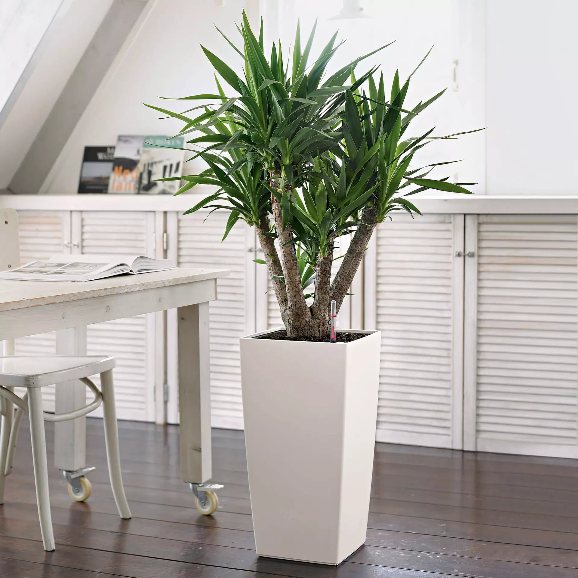 LECHUZA CUBICO Color Square Tall Poly Resin Self-watering Planter