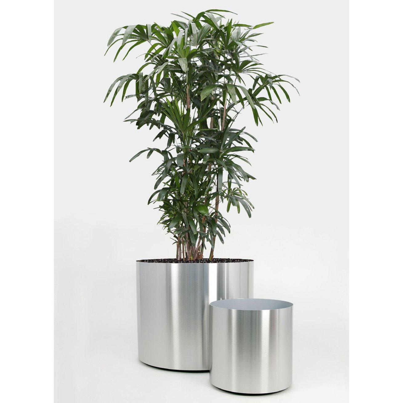 Superline Standard on Wheels Round Indoor Planter