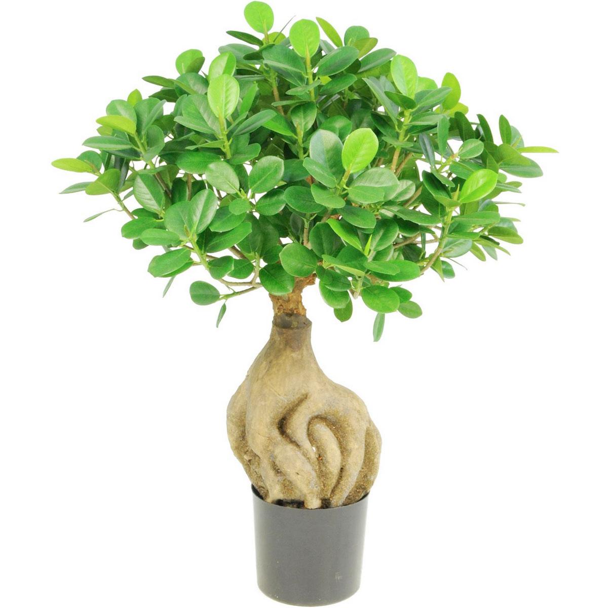 FICUS PANDA BONSAI Artificial Tree Plant