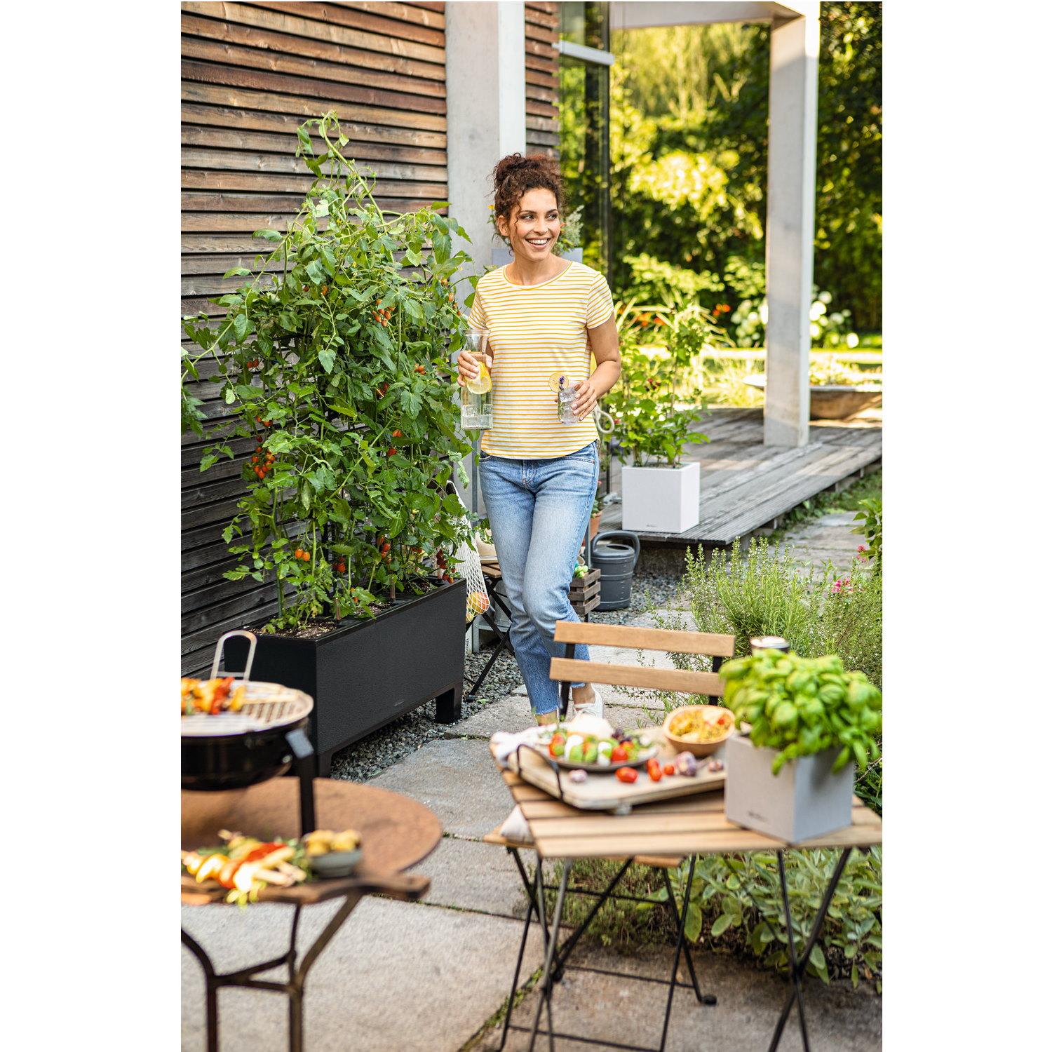 LECHUZA TRIO Stone Trough Poly Resin Self-watering Planter