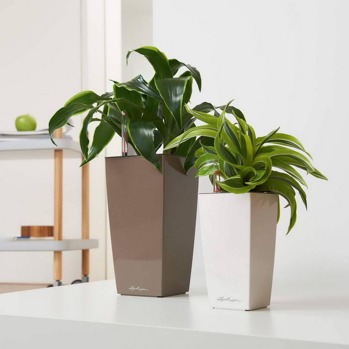 LECHUZA CUBI Square Poly Resin Indoor Self-watering Planter
