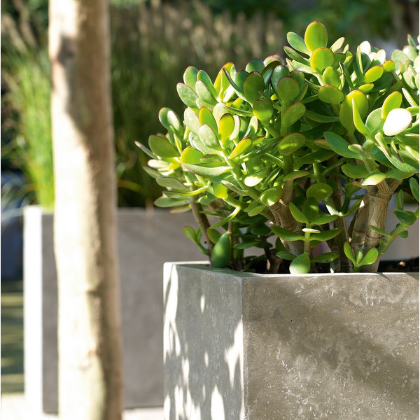 Raised Trough Concrete GRC Planter by Fleur Ami DIVISION