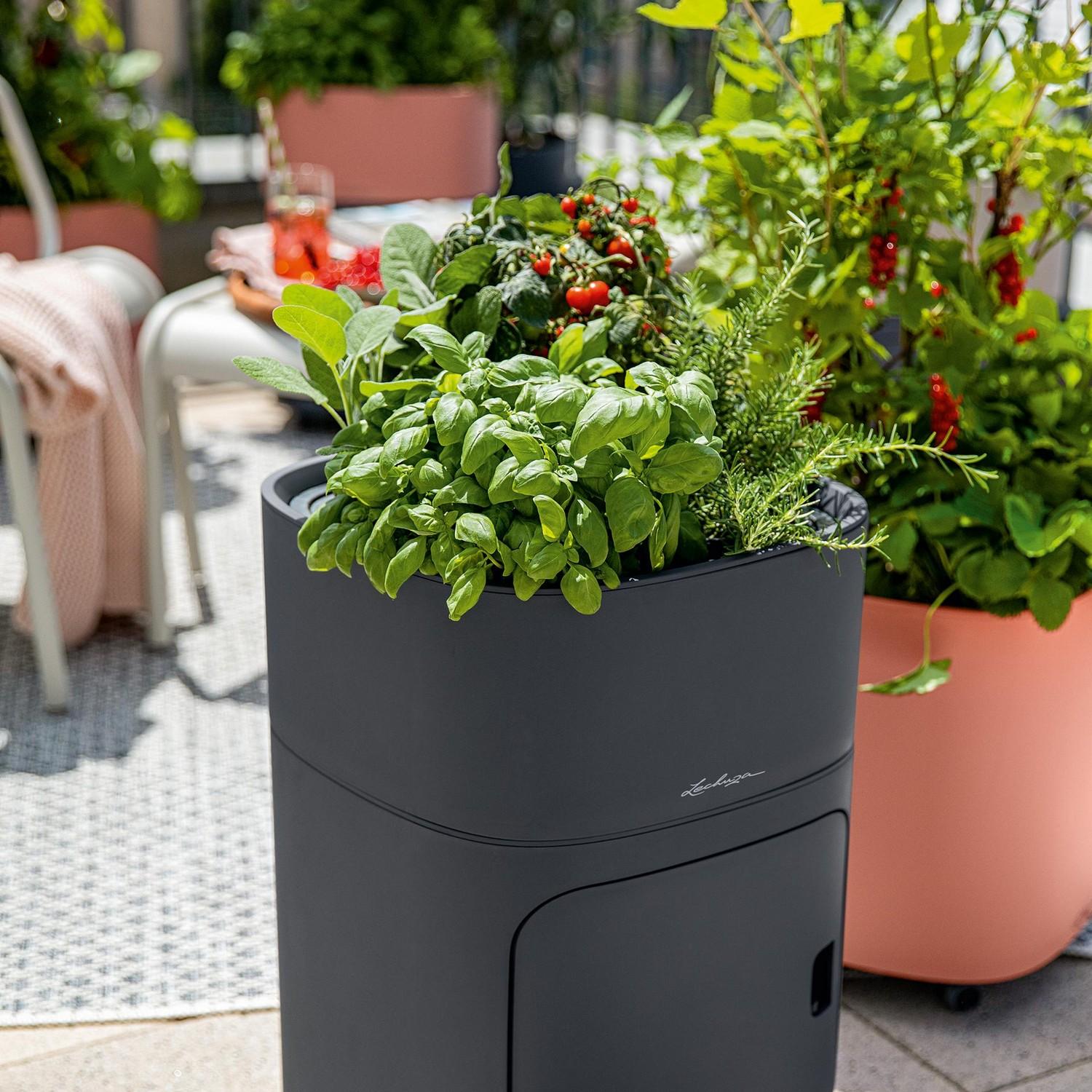 LECHUZA PILA Color Stick Square Poly Resin Self-watering Planter