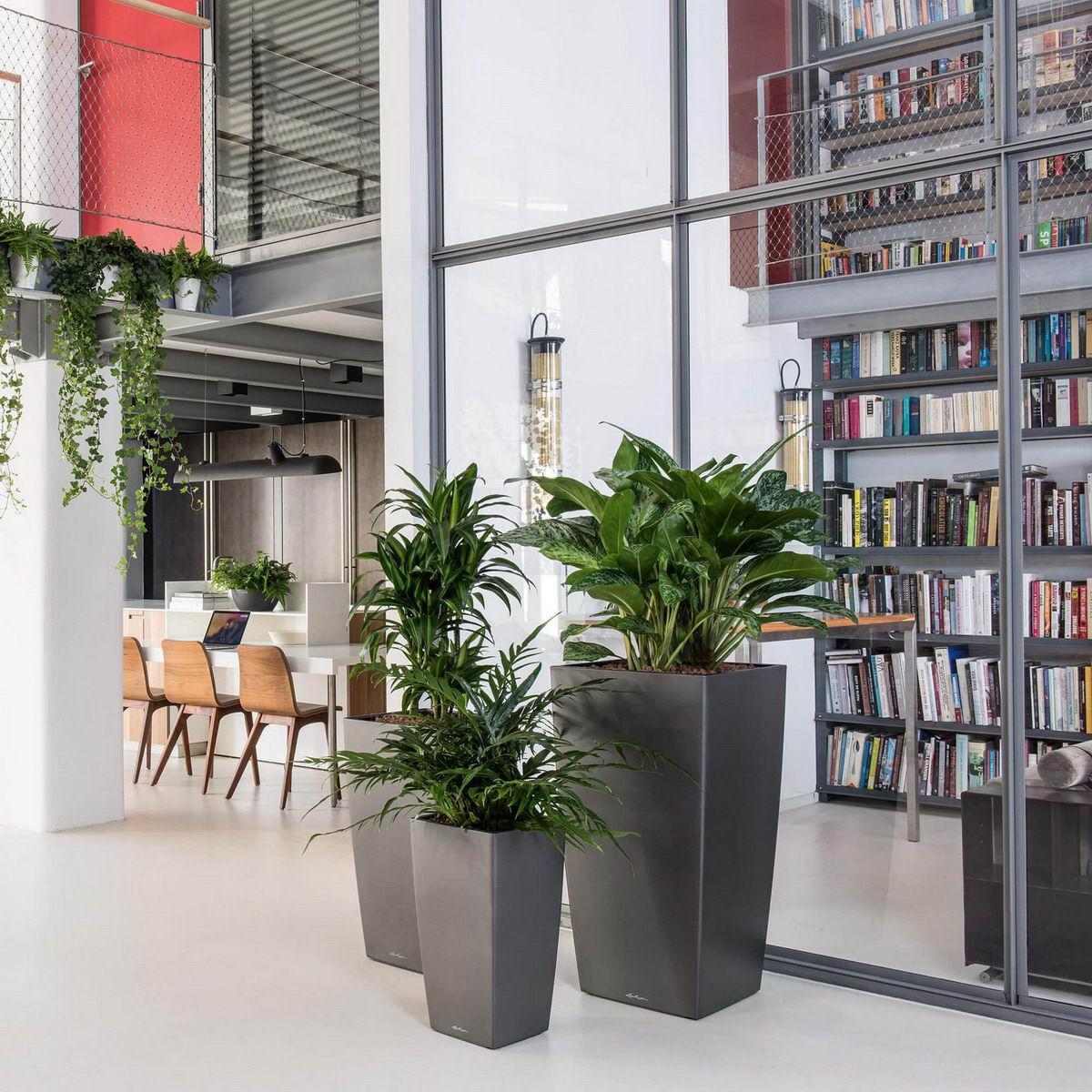 LECHUZA CUBICO Tall Poly Resin Planter Only LECHUZA CUBICO Tall Poly Resin Planter Only