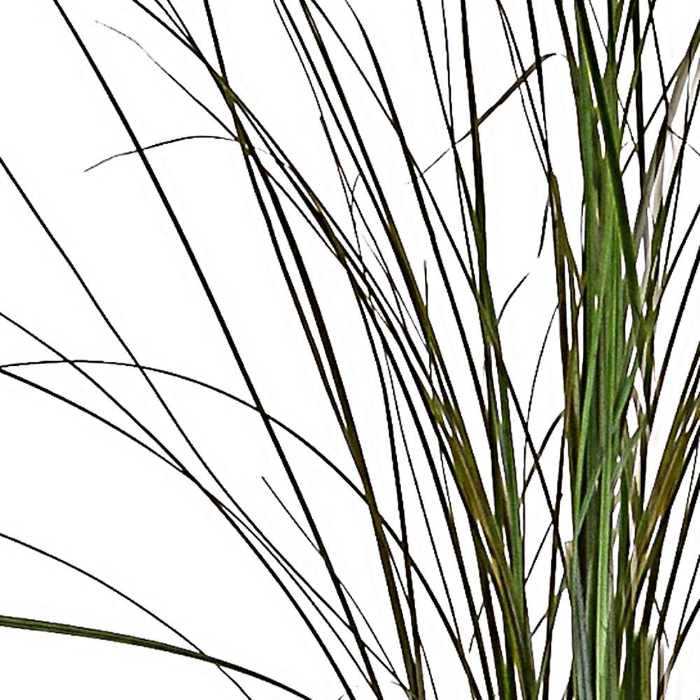 Bear Flame Retardant Artificial Grass Plant