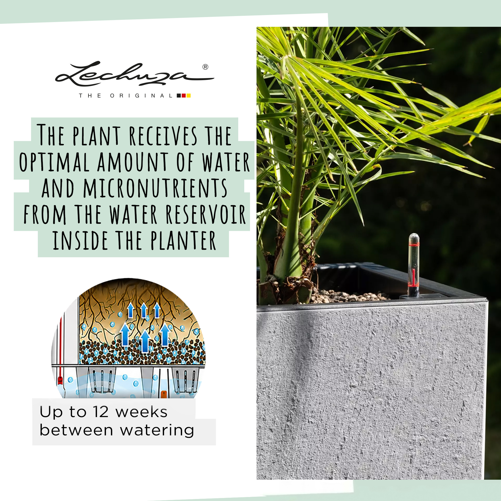 LECHUZA CANTO Slatestone Low Square Poly Resin Self-watering Planter