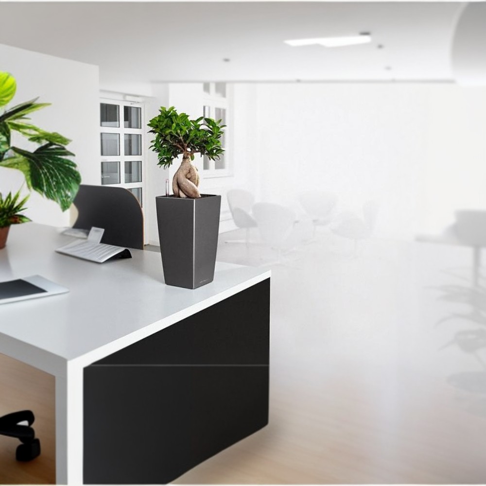 LECHUZA CUBICO Square Tall Poly Resin Self-watering Planter