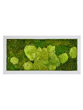 Moss Painting Superline Rectangle