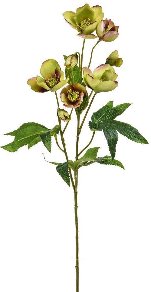Silk Helleborus Artificial Flower Plant
