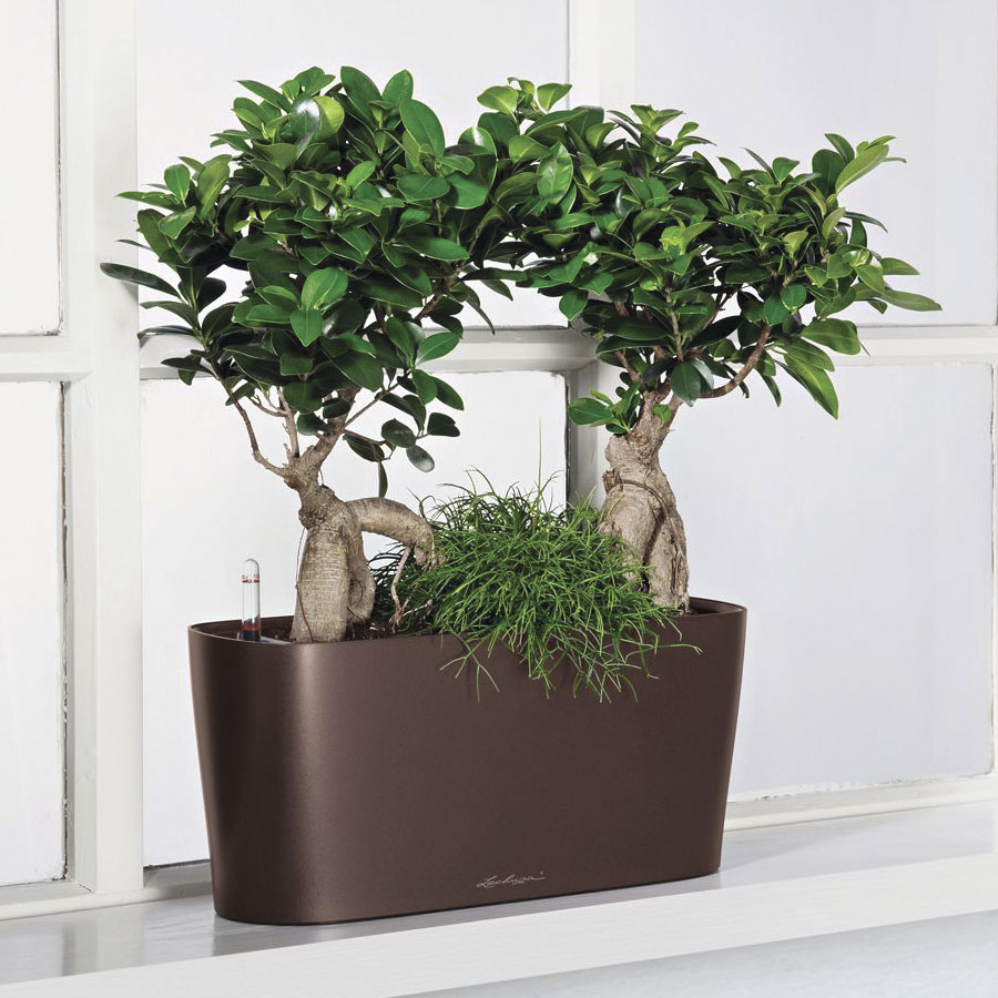 LECHUZA DELTA 10|DELTA 20 Poly Resin Indoor Self-watering Planter