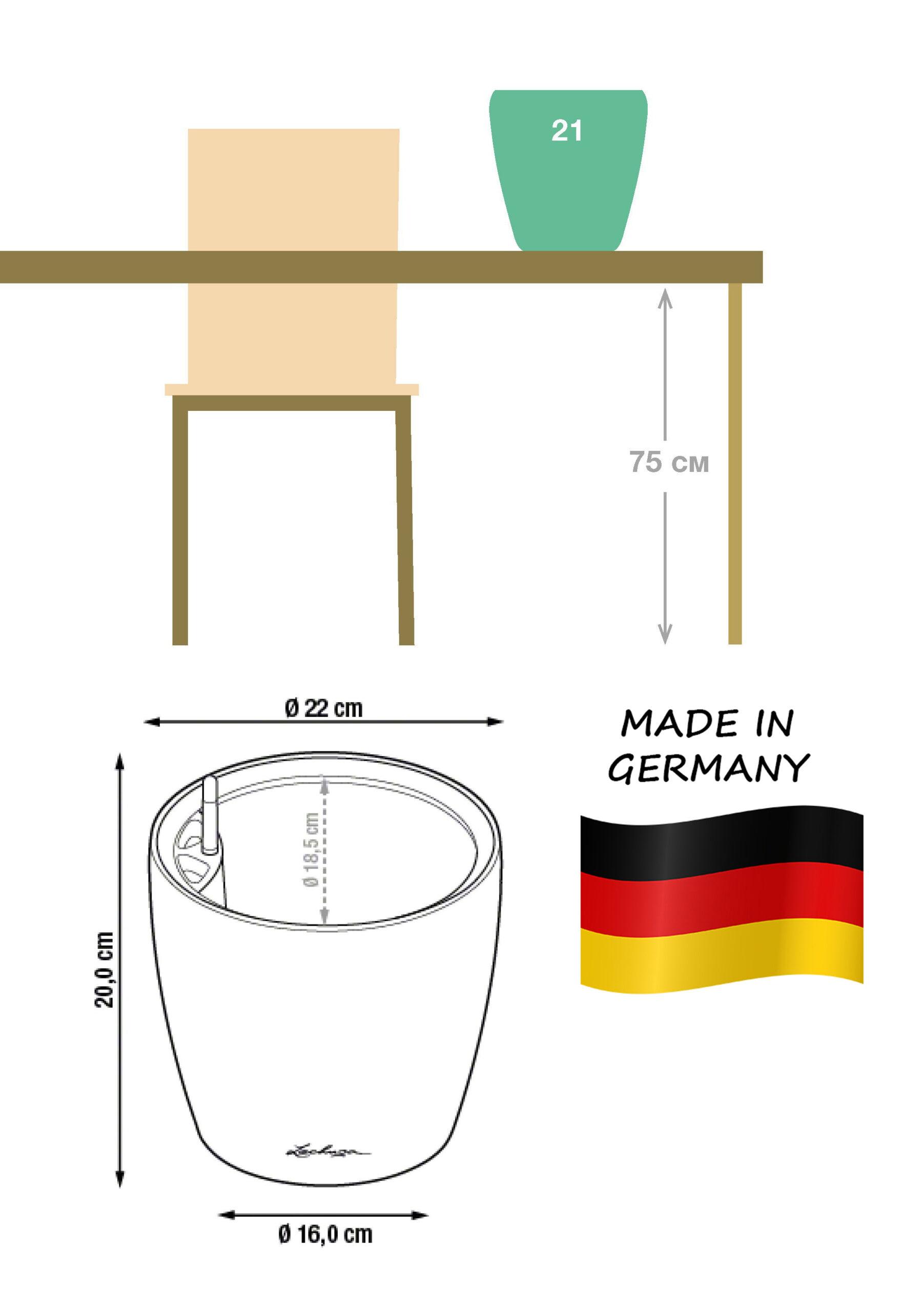 Tangerine Tree in LECHUZA CLASSICO LS Self-watering Planter, Total Height 50 cm