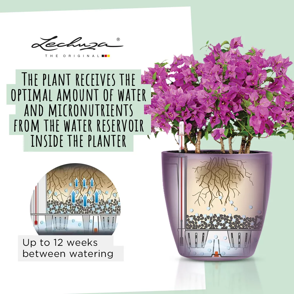 LECHUZA CLASSICO Color Round Poly Resin Self-watering Planter