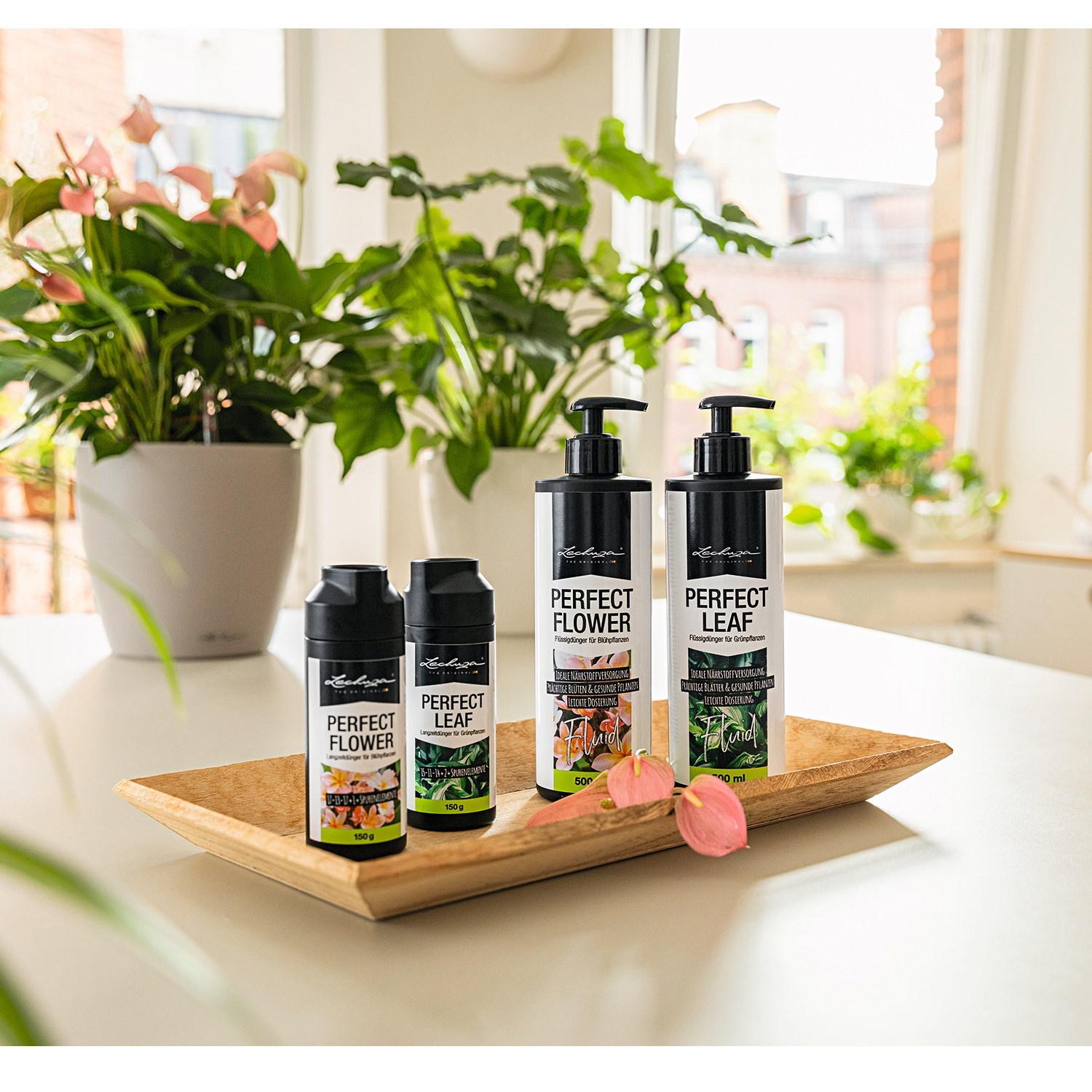 LECHUZA Liquid Orchid Fertiliser Perfect Orchid Fluid