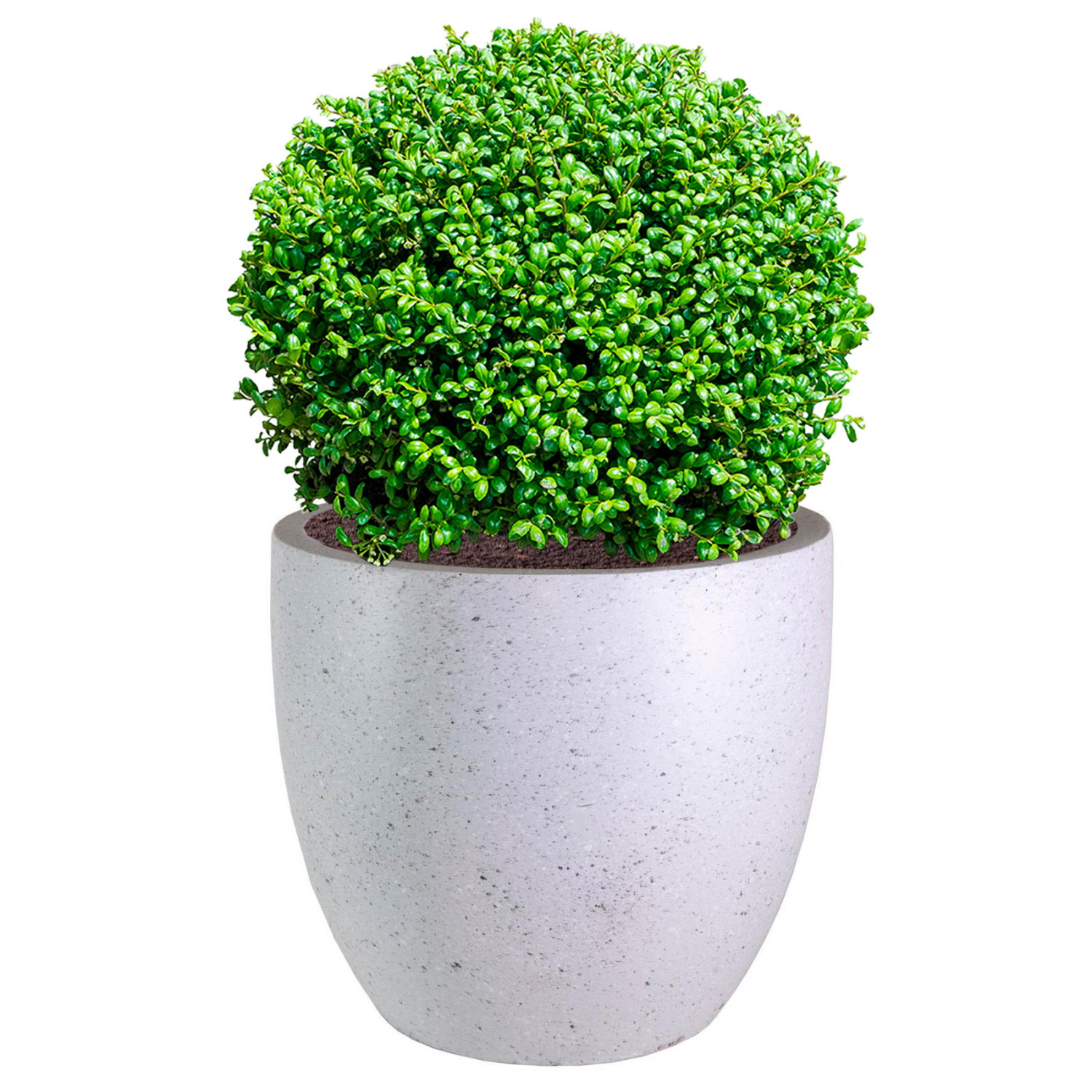 IDEALIST Lite Contemporary Light Concrete Egg Planter