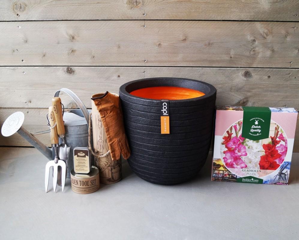 Round Egg Resin Planter by Cadix Capi Tutch Row