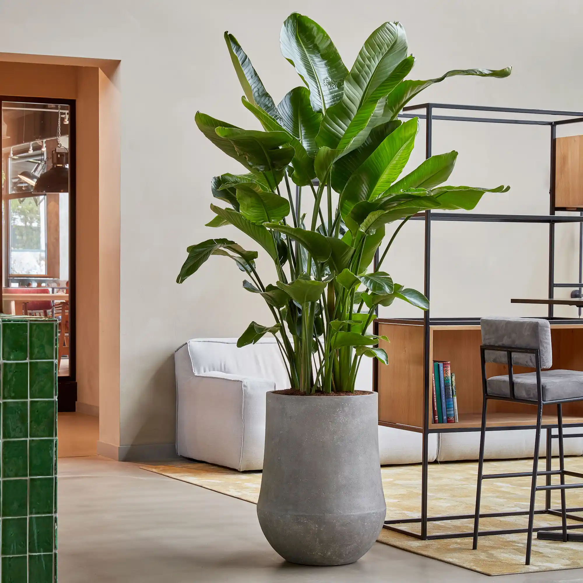 Polystone Planter | Tapered Indoor and Outdoor Plant Pot 