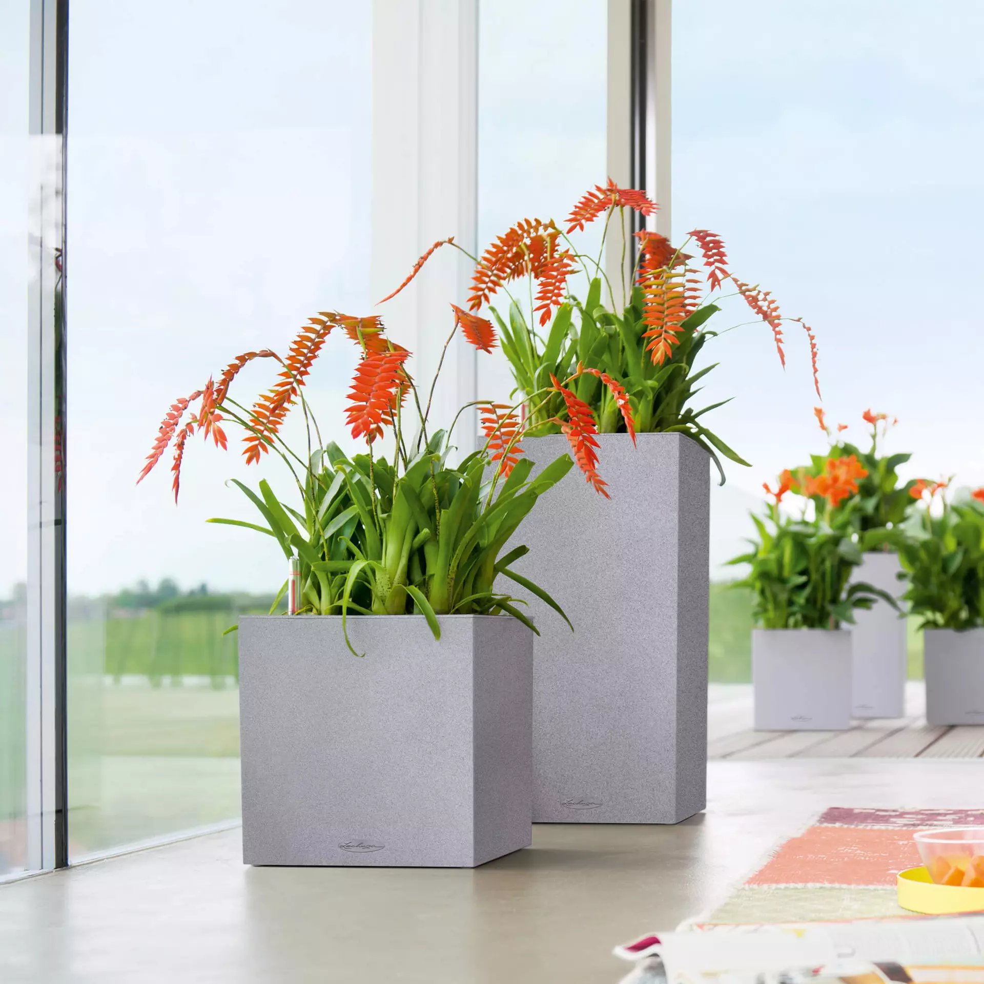 LECHUZA CANTO Stone Low Square Poly Resin Self-watering Planter